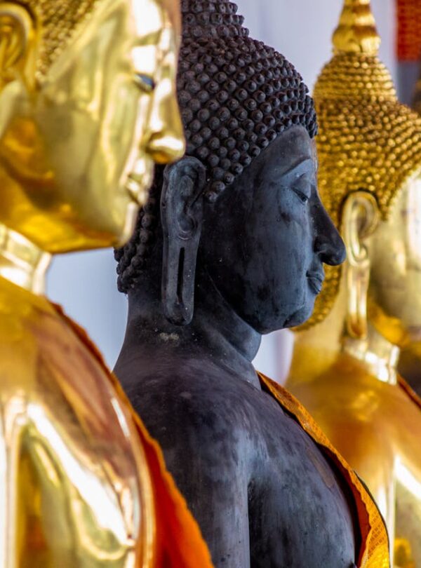 watarun